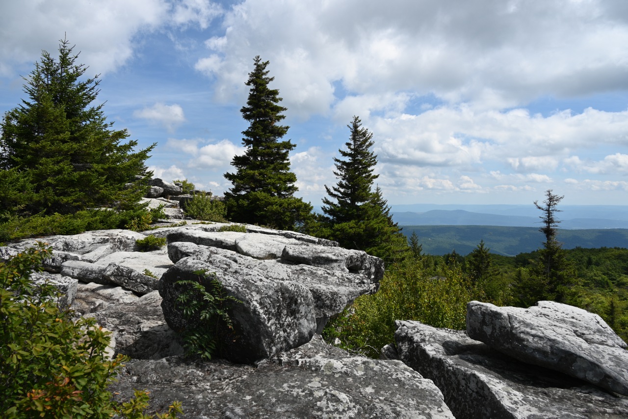 Dolly Sods